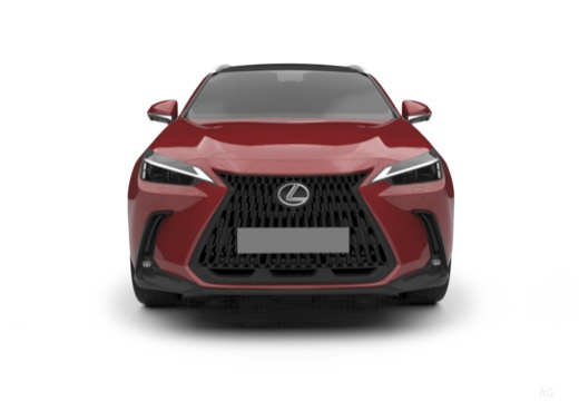 Lexus NX 450h+ 2.5 phev Premium+ 4wd e-cvt — foto 22