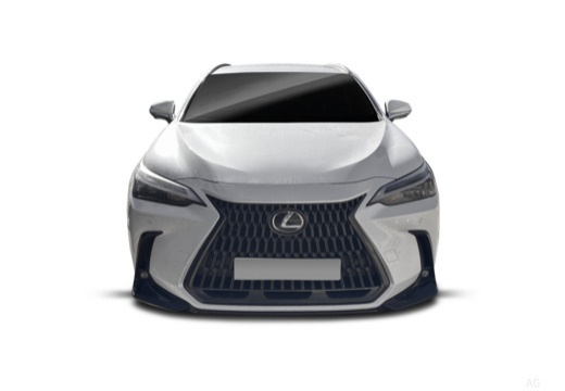 Lexus NX 450h+ 2.5 phev Premium+ 4wd e-cvt — foto 19