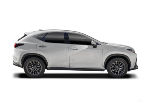 Lexus NX 450h+ 2.5 phev Premium+ 4wd e-cvt — foto 28