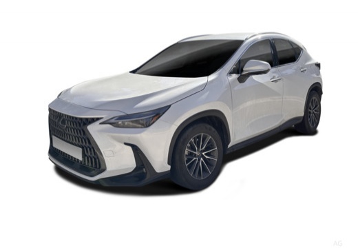 Lexus NX 450h+ 2.5 phev Premium+ 4wd e-cvt — foto 12