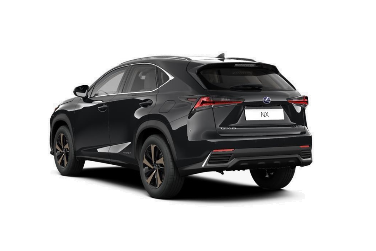 Lexus NX 450h+ 2.5 phev Premium+ 4wd e-cvt — foto 14