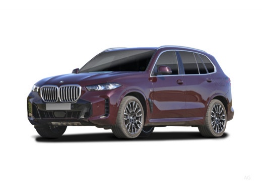 BMW X5 xdrive30d auto — foto 8