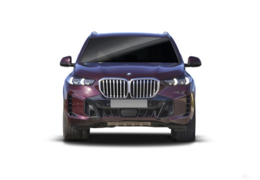 BMW X5 xdrive30d auto — foto 13