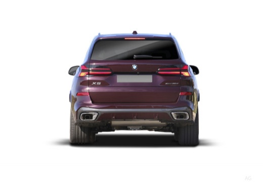 BMW X5 xdrive30d auto — foto 15