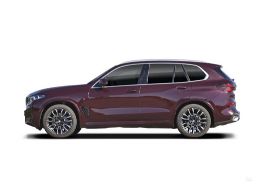 BMW X5 xdrive30d auto — foto 6