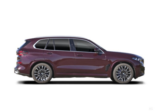 BMW X5 xdrive30d auto — foto 17