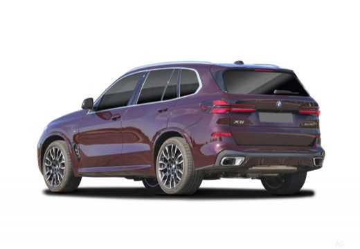 BMW X5 xdrive30d auto — foto 12