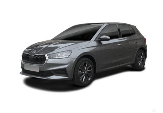 Skoda Fabia 1.0 mpi evo Selection 80cv — foto 8