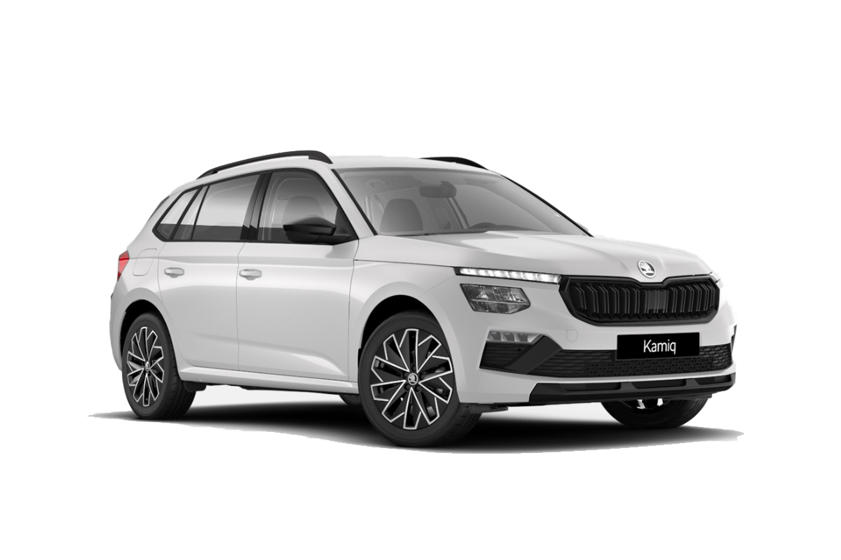 Skoda Kamiq 1.0 tsi Black Dots 115cv dsg — foto 14