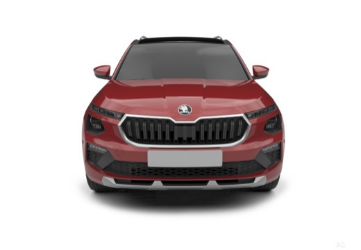 Skoda Kamiq 1.0 tsi Black Dots 115cv dsg — foto 7