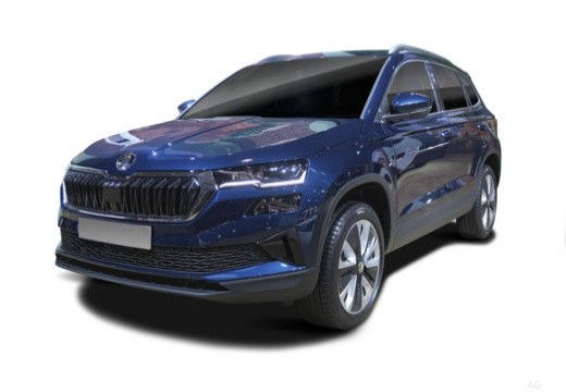Skoda Karoq 2022 2.0 tdi Selection 150cv dsg — foto 3
