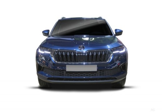 Skoda Karoq 2022 2.0 tdi Selection 150cv dsg — foto 5