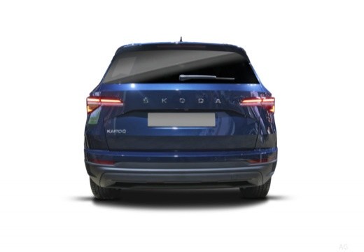 Skoda Karoq 2022 2.0 tdi Selection 150cv dsg — foto 6