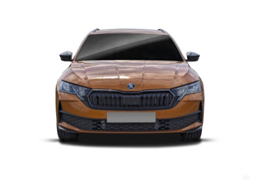Skoda Octavia Wagon 2.0 tdi Executive 150cv dsg — foto 12