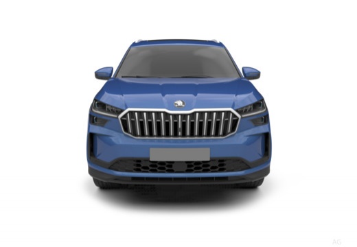 Skoda Kodiaq 2.0 tdi evo Executive 150cv dsg 7p.ti — foto 9
