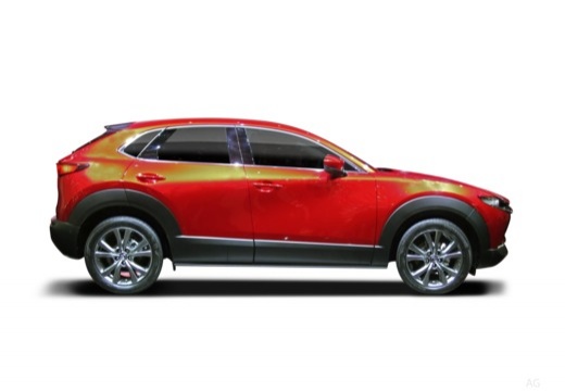 Mazda CX-30 2.5 m-hybrid Homura portel.elettr.2wd 140cv 6mt — foto 19
