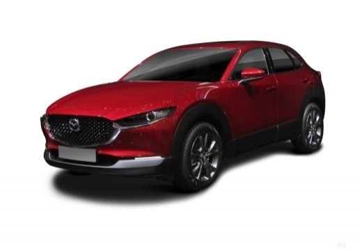 Mazda CX-30 2.5 m-hybrid Homura 2wd 140cv 6mt — foto 3