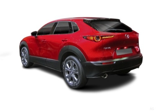 Mazda CX-30 2.5 m-hybrid Homura portel.elettr.2wd 140cv 6mt — foto 9