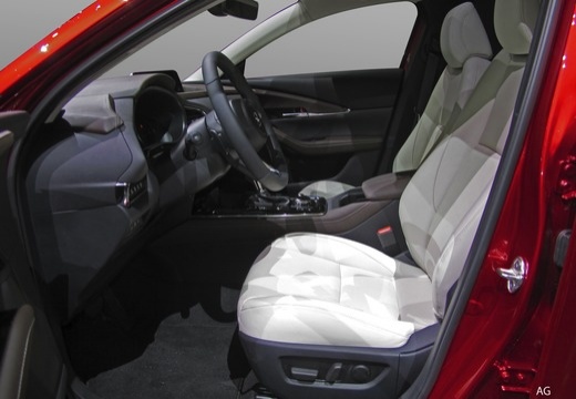 Mazda CX-30 2.5 m-hybrid Homura portel.elettr.2wd 140cv 6mt — foto 21