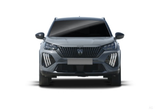 Peugeot 2008 54 kWh Style — foto 12