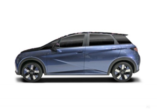 Byd Dolphin 2025 60,4 kWh Design — foto 2
