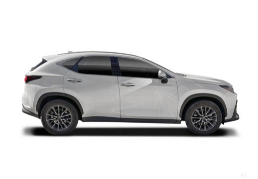 Lexus NX II 2022 2.5 phev Premium+ 4wd 292cv e-cvt — foto 7
