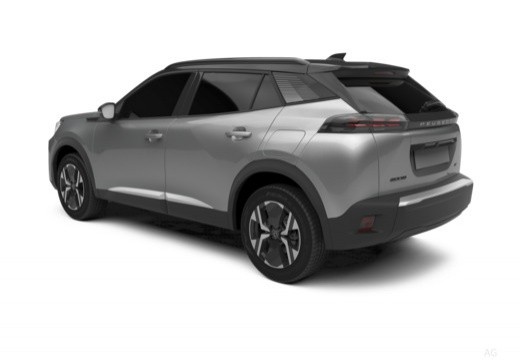 Peugeot 2008 II 2023 1.2 hybrid Style 110cv e-dcs6 — foto 4