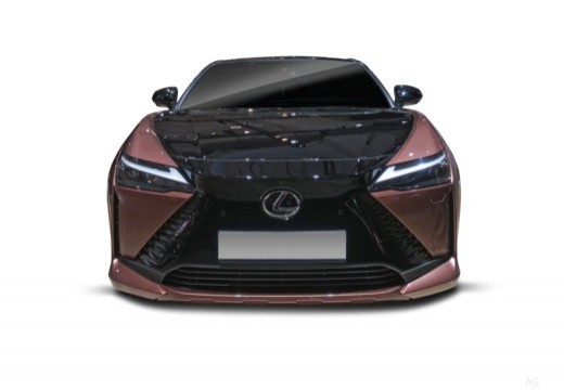 Lexus RZ 350e Executive 2wd — foto 5