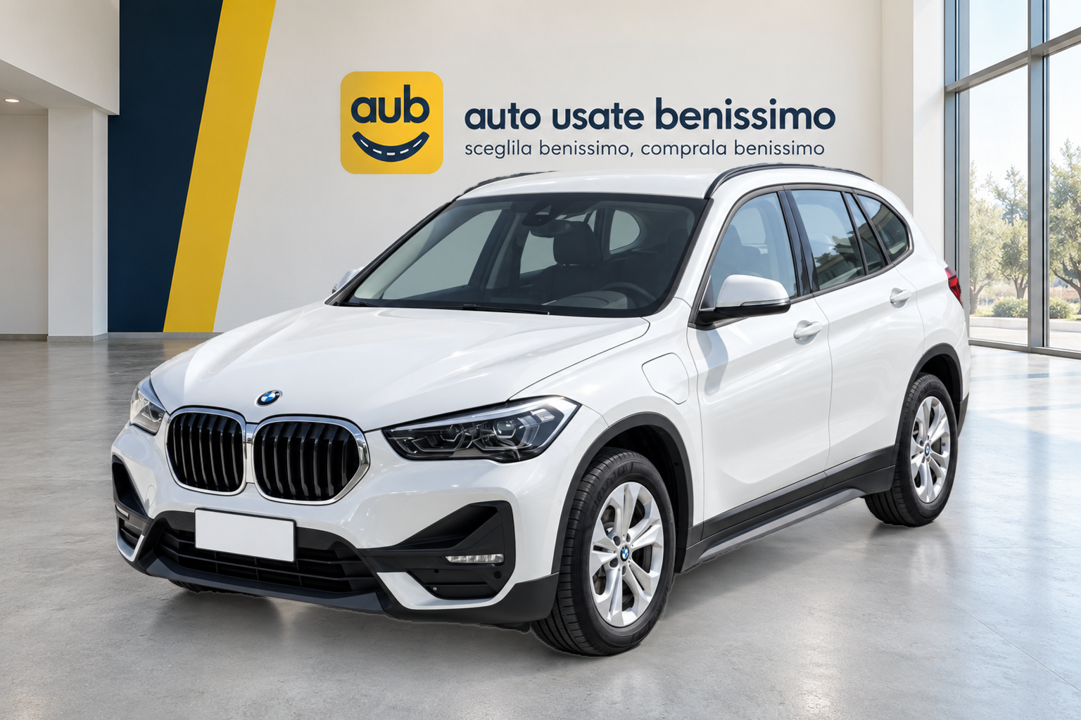 BMW X1 X Drive 25E Business Advantage automatico