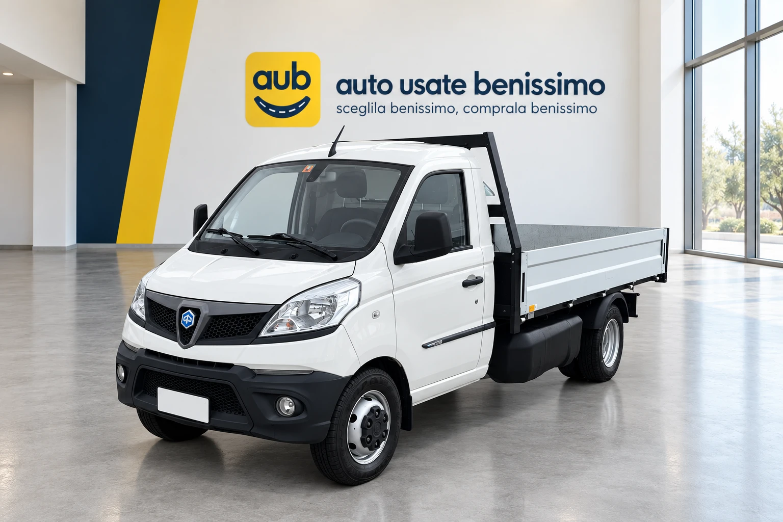 Piaggio Porter NP6 Gemellato cassone fisso
