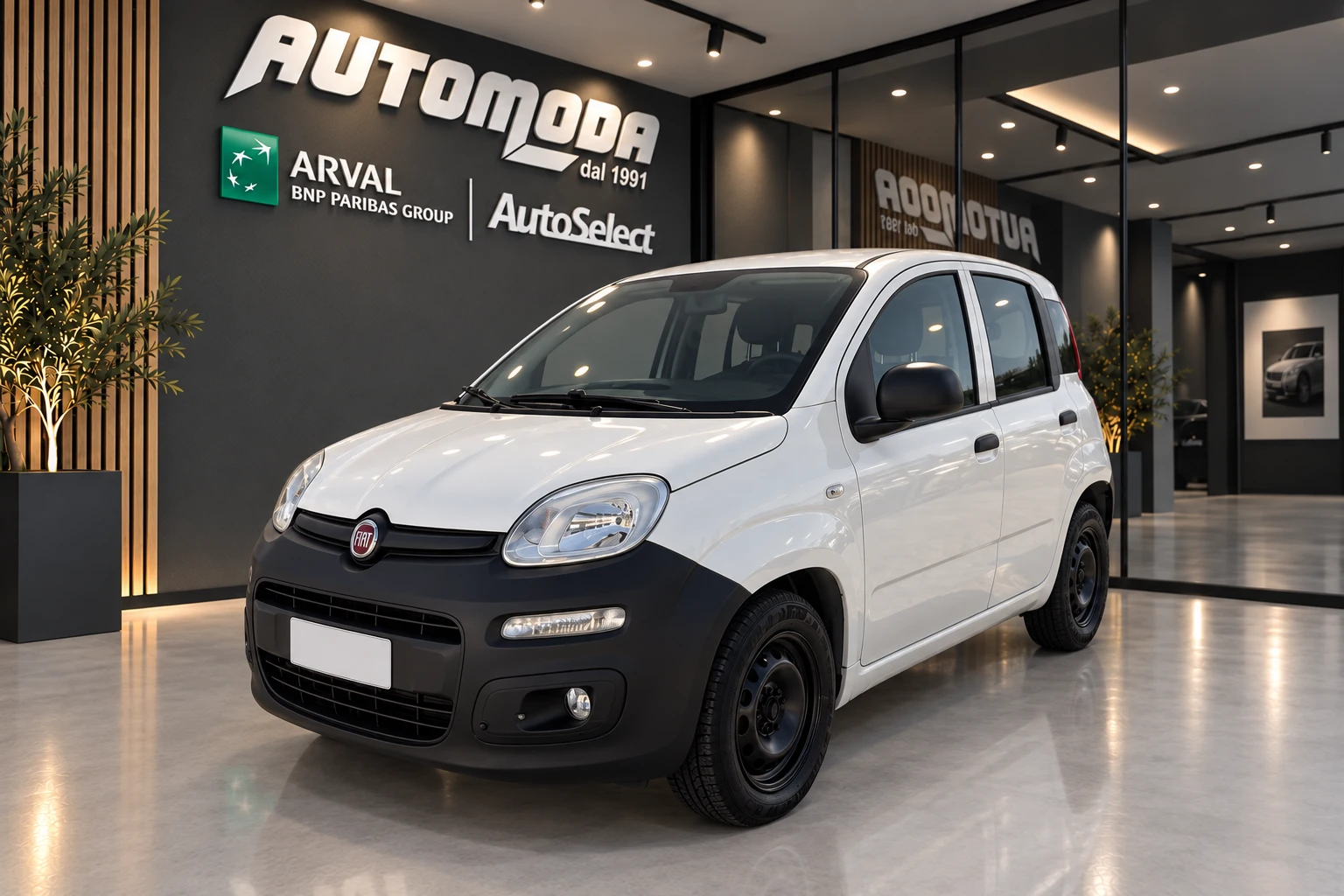 Fiat Panda 1.3Mjt Van 2 Posti