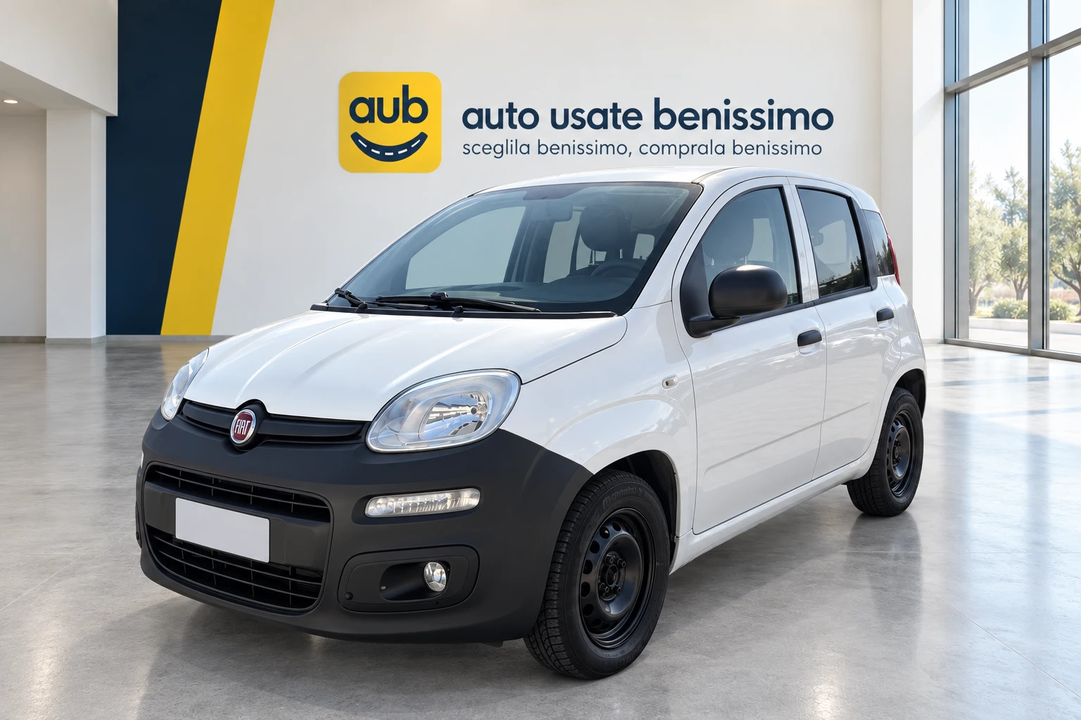 Fiat Panda 1.3Mjt Van 2 Posti