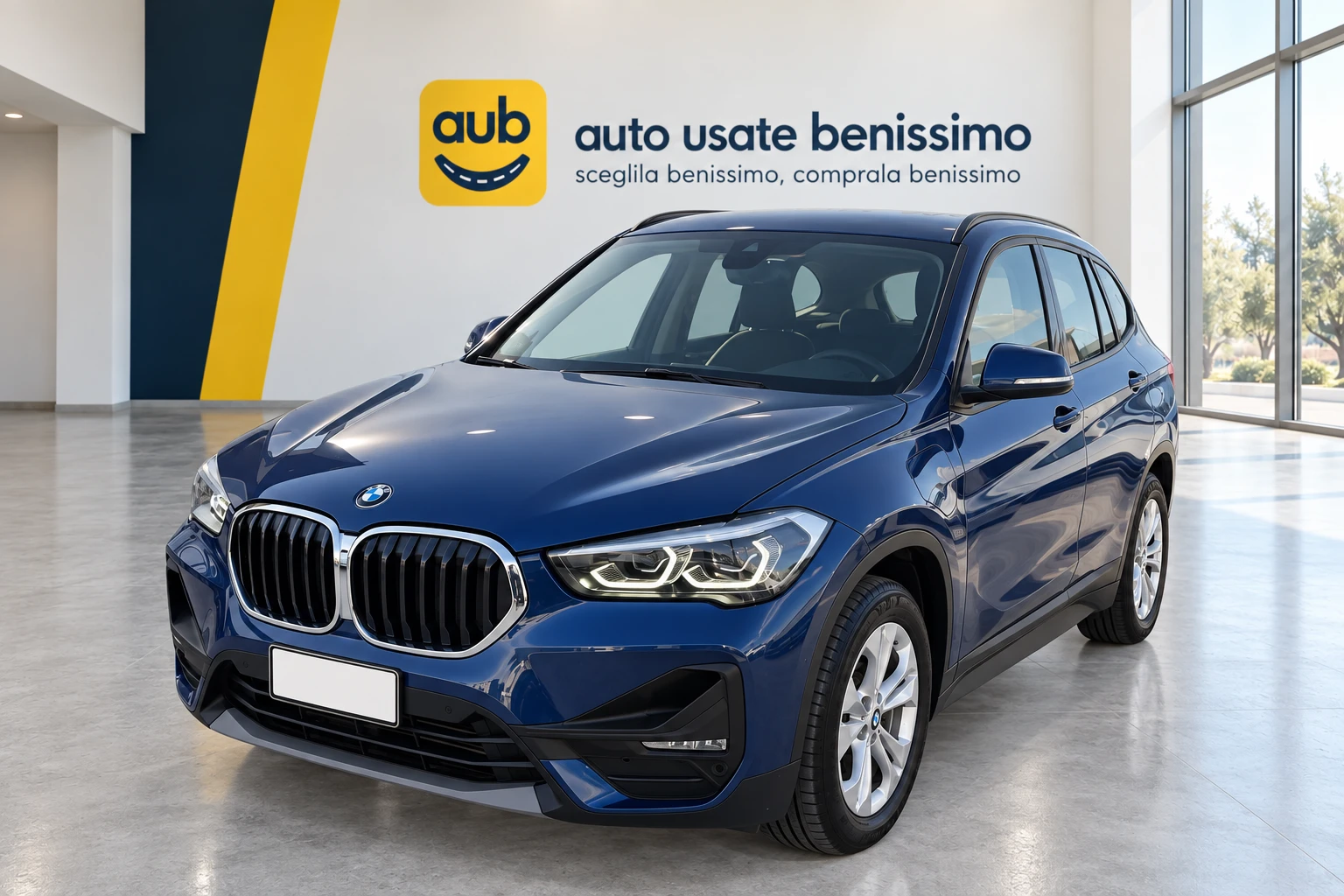 BMW X1 X Drive 25E Business Advantage automatico