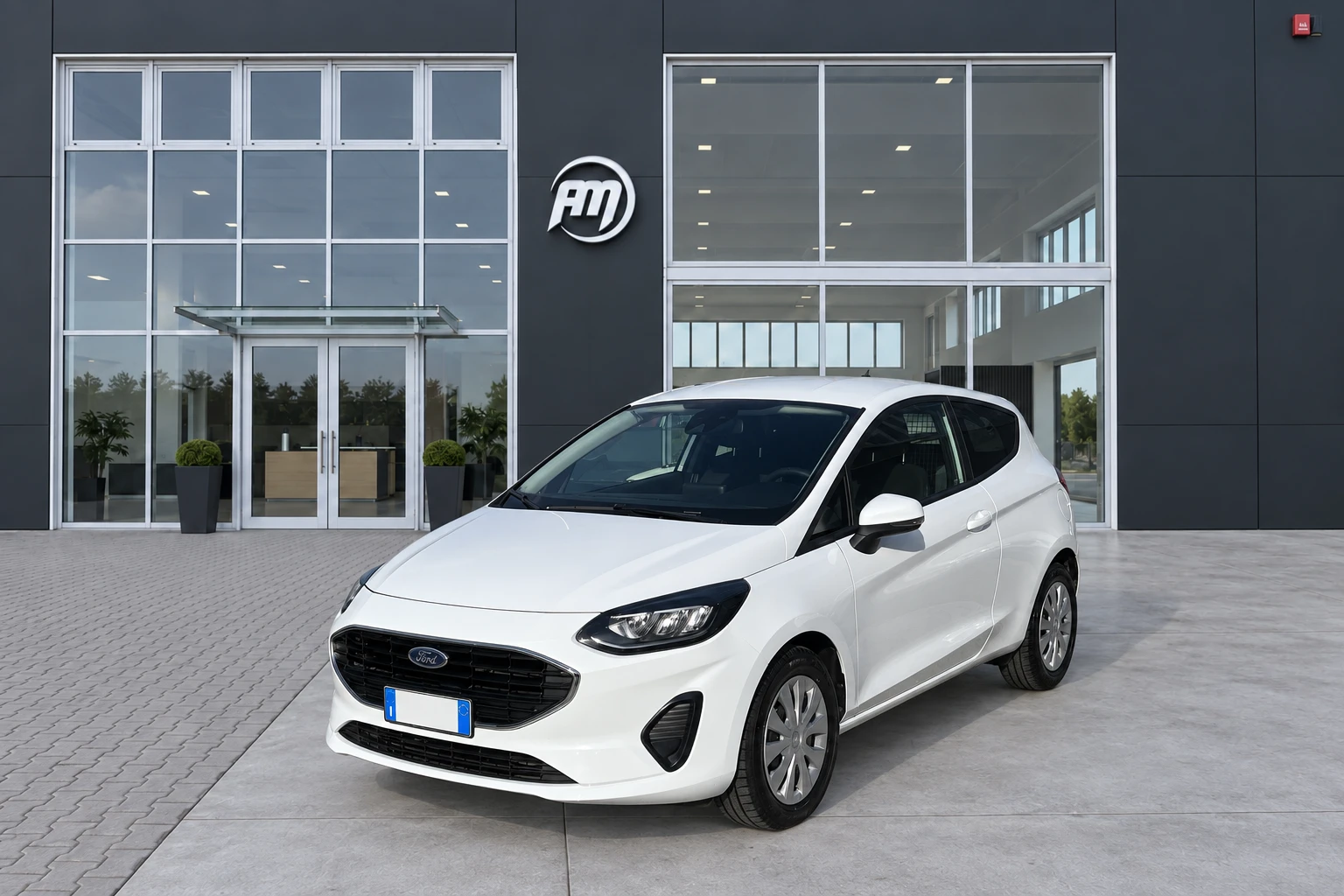 FORD Fiesta Hybrid 125CV 3 porte Van