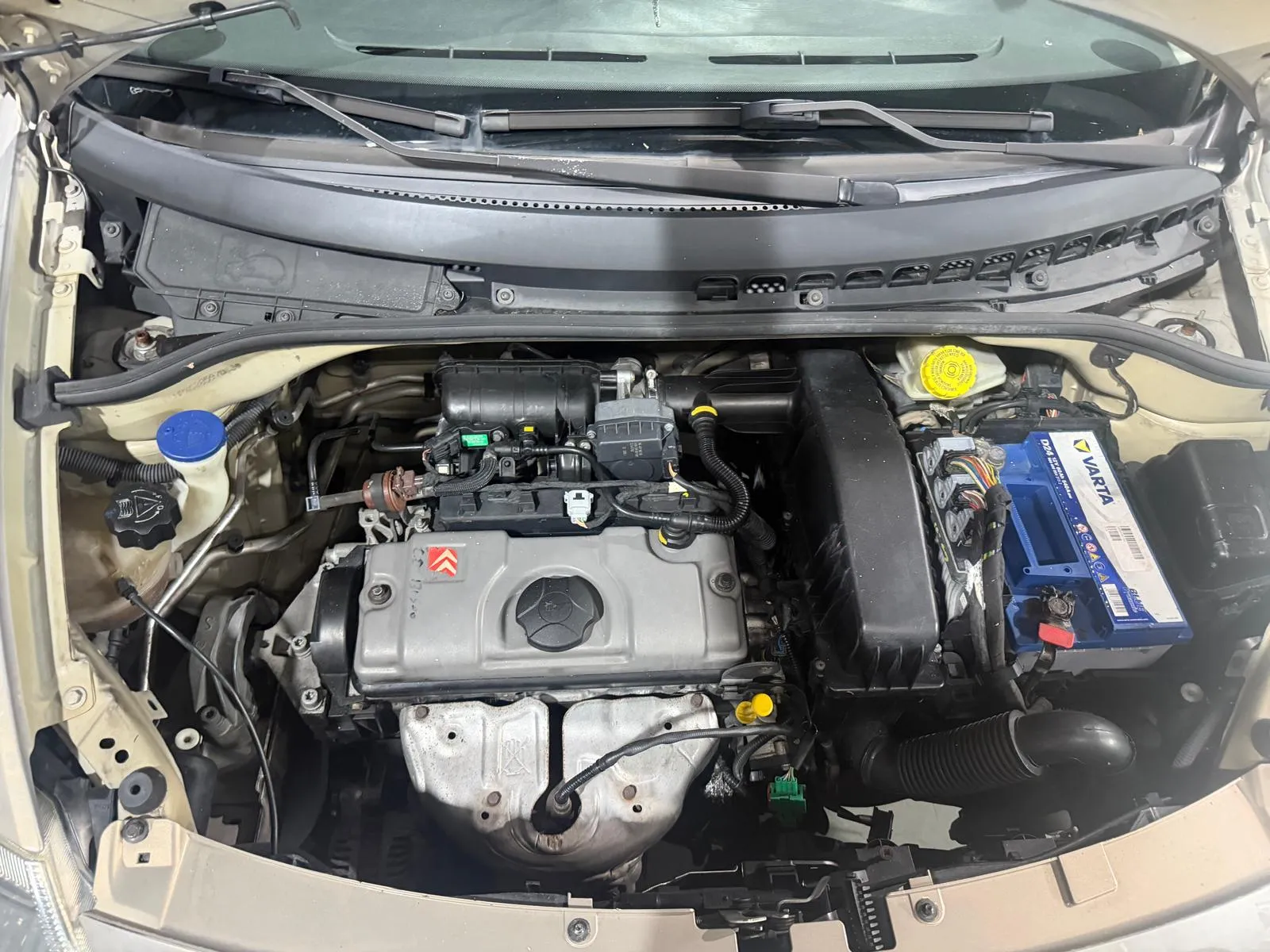Citroen Benzina Neopatentati 5 Posti 2006 — foto 15