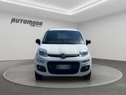 FIAT Van 2 posti 4x4