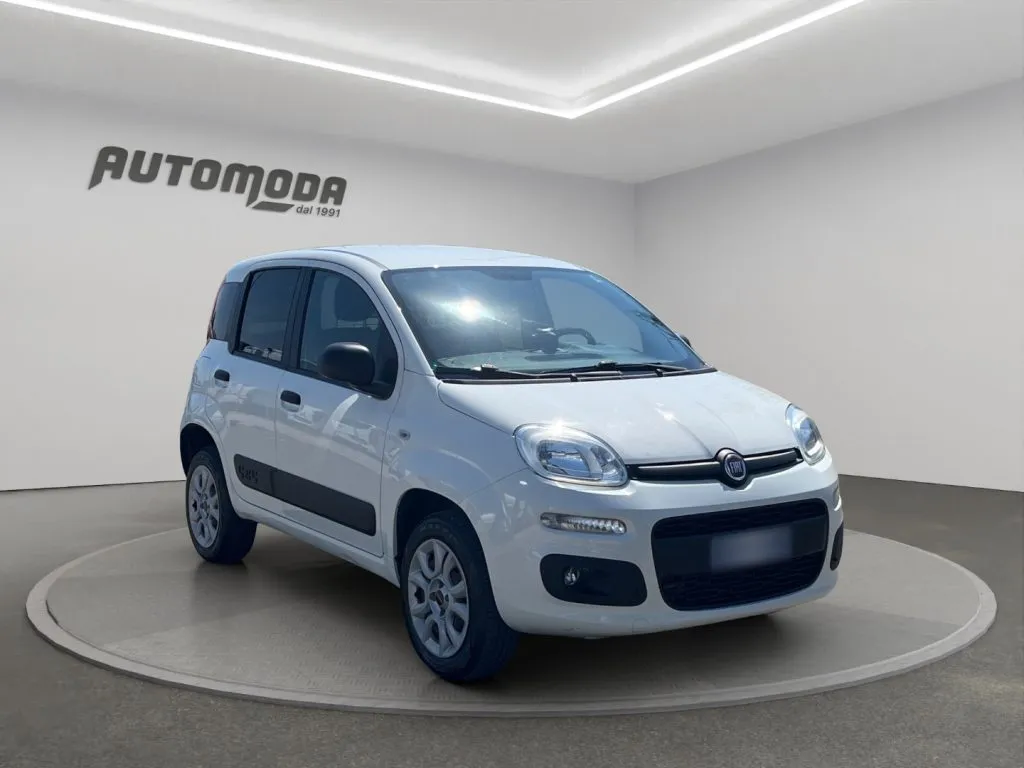 FIAT Van 2 posti 4x4 2020 — foto 2
