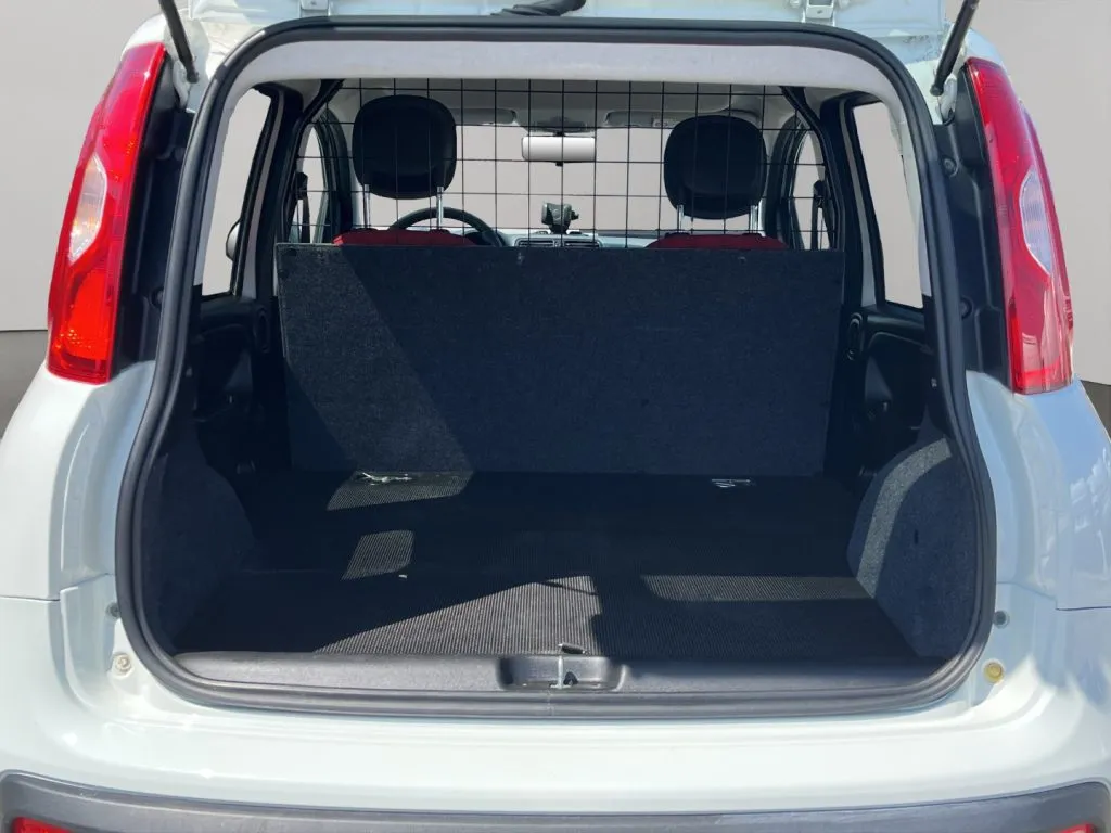 FIAT Van 2 posti 4x4 2020 — foto 15