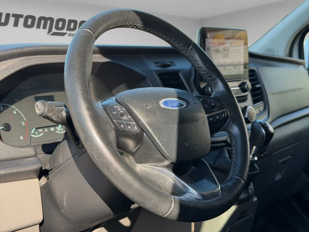 FORD L2H1 9POSTI PEDANA DISABILI 2021 — foto 11