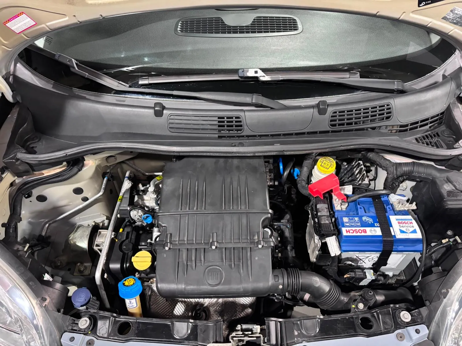 Fiat 5 Posti Benzina 2017 — foto 13