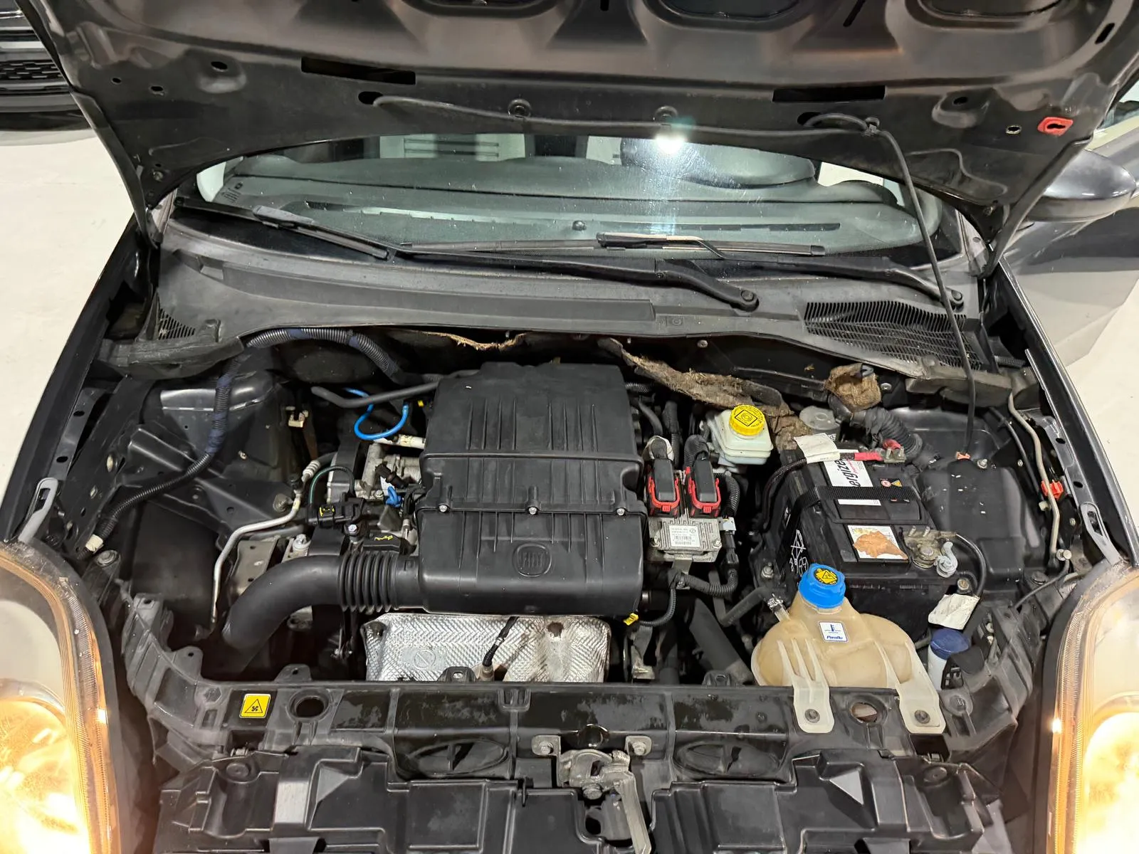 Fiat Benzina 5 posti Neopatentati 2010 — foto 14