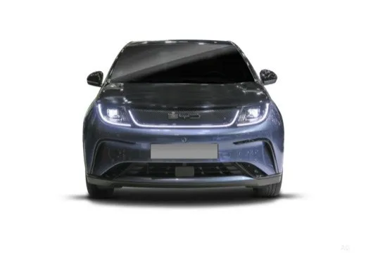 Byd Dolphin 2025 60,4 kWh Design — foto 5