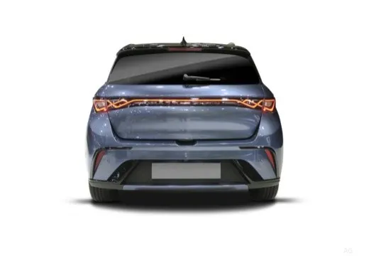 Byd Dolphin 2025 60,4 kWh Design — foto 6
