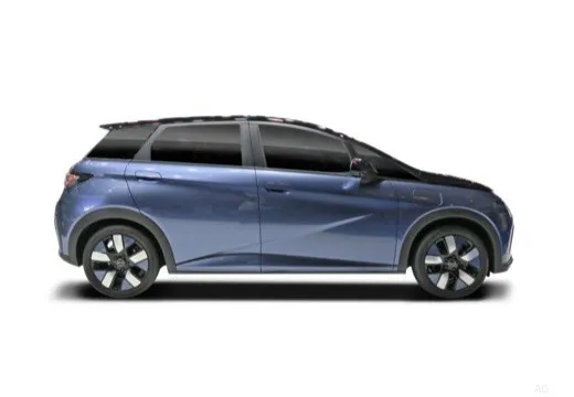 Byd Dolphin 2025 60,4 kWh Design — foto 7