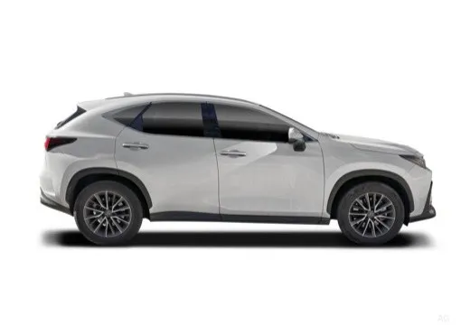 Lexus NX II 2022 2.5 phev Premium+ 4wd 292cv e-cvt — foto 7