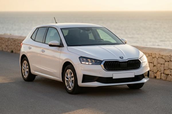 Skoda Fabia 1.0 mpi evo Selection 80cv