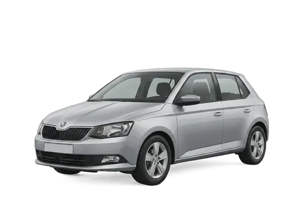 Skoda Fabia 1.0 mpi evo Selection 80cv