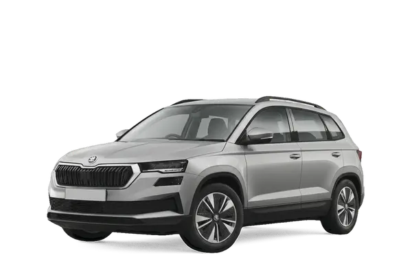 Skoda Karoq 2.0 tdi evo Executive 150cv dsg