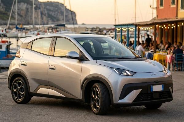 Byd Dolphin Surf 43,2 kWh Boost
