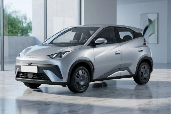 Byd Dolphin Surf 43,2 kWh Boost